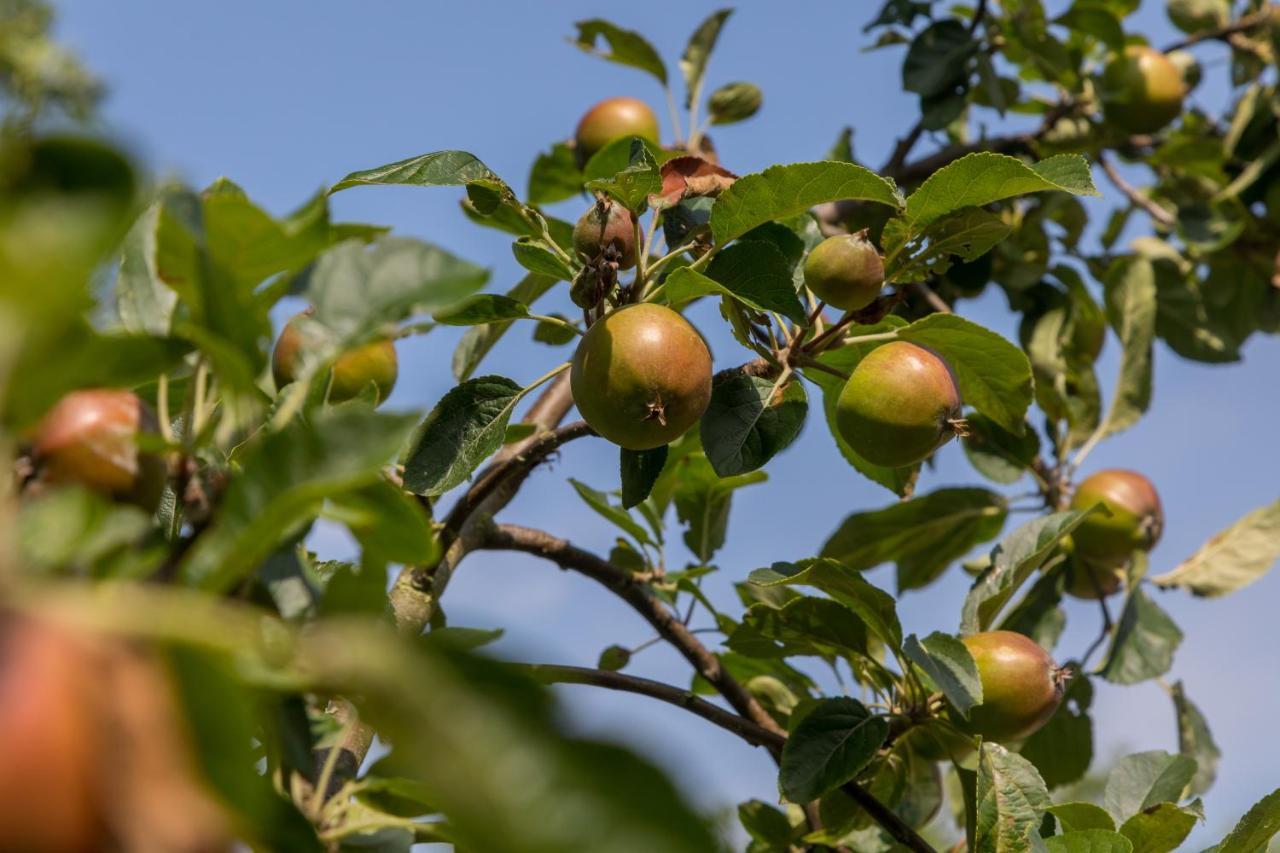 De Notenboom Meliskerke Zewnętrze zdjęcie